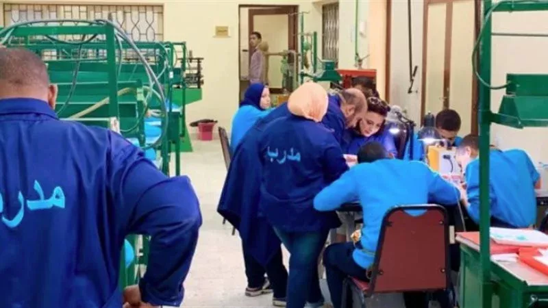 التعليم الثانوى المهنى،فيتو