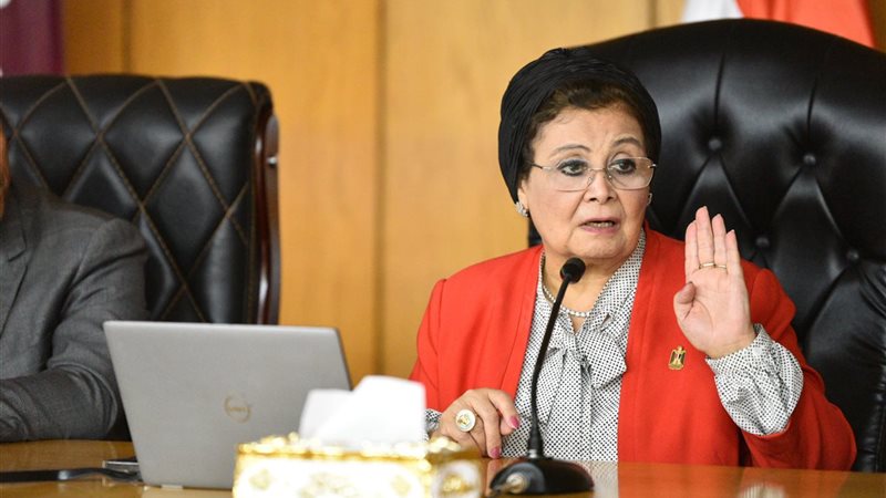 د.عبلة الألفي نائب