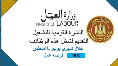 1810 فرص عمل جديدة في 35 شركة خاصة تنتظر شباب 11 محافظة