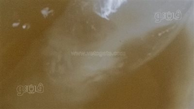 صفراء ورائحتها كريهة، أهالي كفر الحمادية بالمنوفية يشتكون من المياه (فيديو)