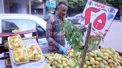 الـ10 بـ25 جنيها، أسعار التين الشوكي في الأسواق (فيديو وصور)