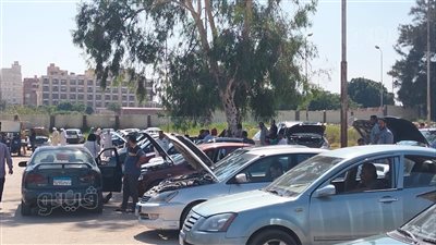 الغرف التجارية تكشف أسباب انخفاض أسعار السيارات 20% (فيديو)