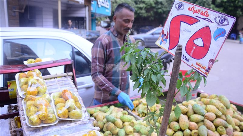 أسعار التين الشوكي