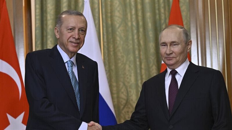 أردوغان وبوتين، فيتو