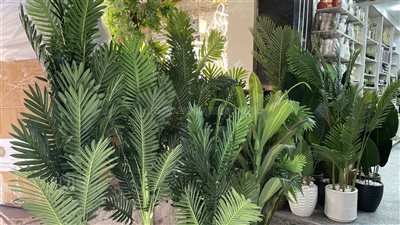 درب البرابرة أرخص مكان للزرع الصناعي والورود والأسعار تبدأ من 35 جنيها (فيديو وصور)