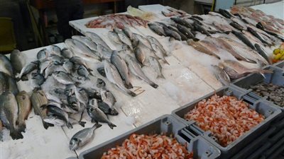  انخفاض البلطي والبوري والكابوريا، سعر السمك اليوم في سوق العبور