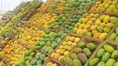 أسعار المانجو اليوم السبت 19 يوليو 2025، انخفاض جديد في الزبدية وارتفاع الهندي والتيمور