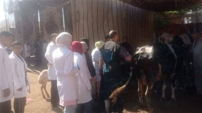 إطلاق قافلة بيطرية بقرية مسهلة ضمن مبادرة حياة كريمة بالغربية (صور)