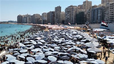 إنقاذ شخصين من الغرق بشواطئ غرب وشرق الإسكندرية 