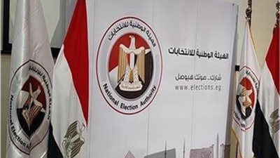 انتخابات مجلس الشيوخ 2025 المصرية في سوريا، سبب استثناء دمشق من التصويت