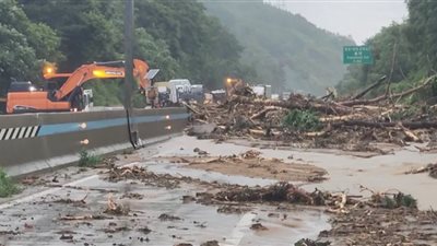 كوريا الجنوبية: 10 ضحايا و9 مفقودين بسبب الأمطار الغزيرة