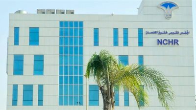 عضو المجلس القومي لحقوق الإنسان: ننسق بشكل مستمر مع الوطنية للانتخابات 