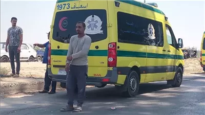  مصرع الرئيس السابق لمكتب تسوية المنازعات الأسرية بالشرقية في حادث سير 