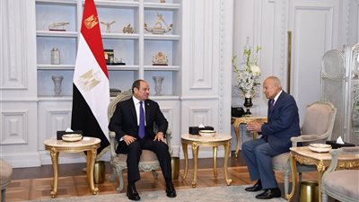 تفاصيل لقاء الرئيس السيسي وأمين عام جامعة الدول العربية (صورة)