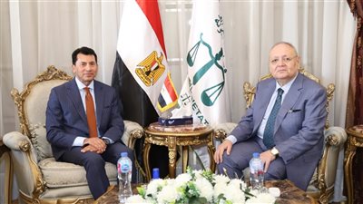 رئيس مجلس الدولة يستقبل وزير الشباب والرياضة لتقديم التهنئة له