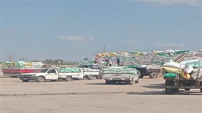 محافظ الشرقية: توريد 602 ألف و614 طن طن قمح إلى الصوامع حتى الآن 