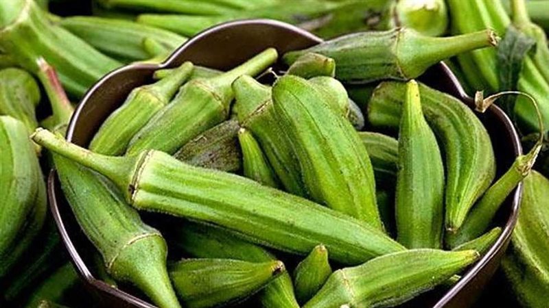 البامية 