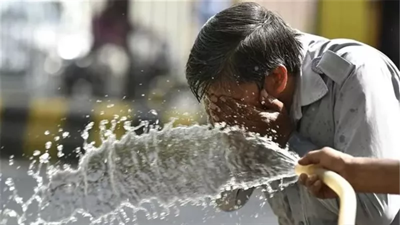 حالة الطقس غدا، فيتو