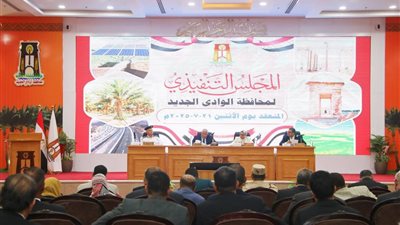 9 توجيهات لمحافظ الوادي الجديد خلال اجتماع المجلس التنفيذي للمحافظة