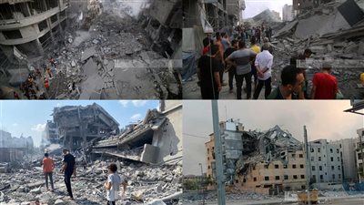 نواب بالبرلمان الأوروبي: التاريخ لن يرحم صمتنا في مواجهة المجاعة والإبادة بغزة