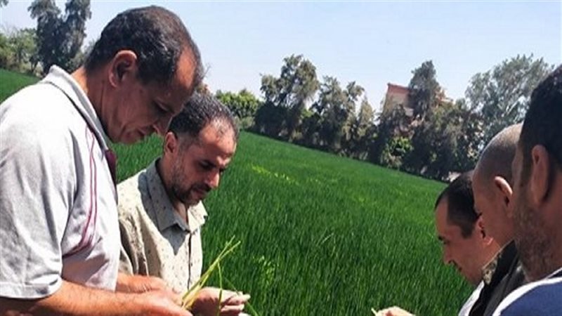 تنفيذ يوم حقلي للنهوض