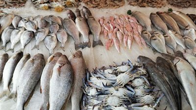  سعر السمك اليوم الأربعاء، تهاوي المكرونة وقشر البياض وقفزة في الكابوريا