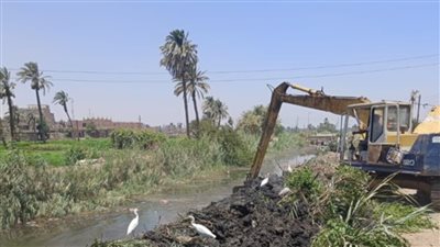 تطهير الترع والمصارف وإزالة ورد النيل ببني يحيى بأسيوط لضمان كفاءة توزيع مياه الري