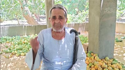 التعليم المجاني والقضاء على الإقطاع أبرزها، «عم علي» يكشف مكاسب ثورة يوليو (فيديو)