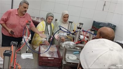 ضبط 7 أطنان مصنعات لحوم فاسدة في حملات مكبرة بجمصة 