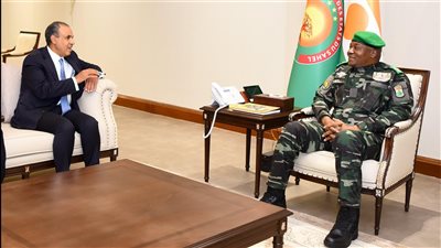 وزير الخارجية يسلم رسالة خطية من السيسي إلى رئيس جمهورية النيجر (صور)