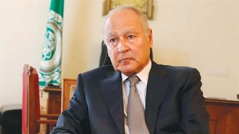 أحمد أبو الغيط، فيتو