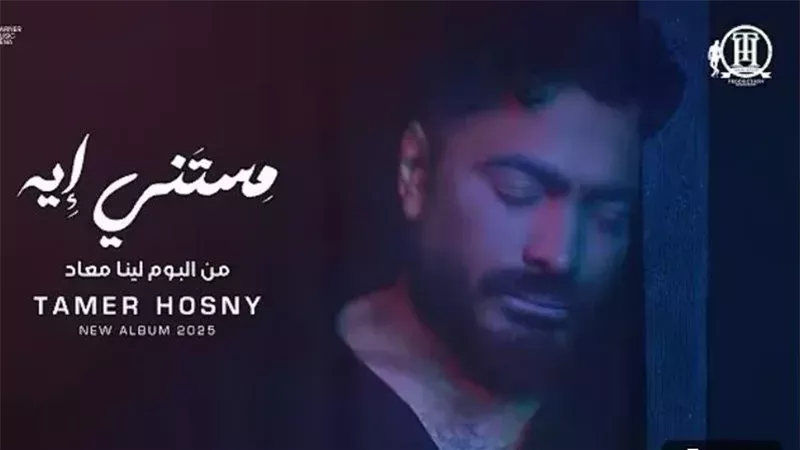 تامر حسني