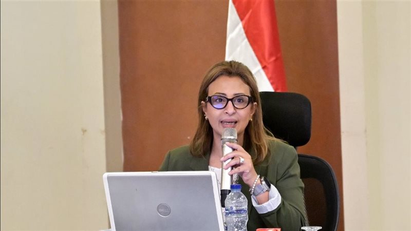 د.غادة عبد الباري