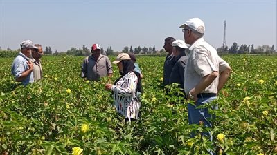 الزراعة تنفذ أكثر من 2300 نشاط إرشادي متنوع خلال شهر