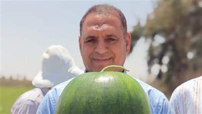  أشهرها البرنس، مصر تحقق اكتفاء ذاتيا من تقاوي البطيخ بنسبة 97% 