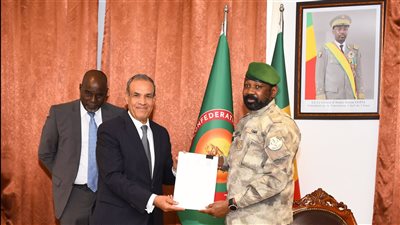 وزير الخارجية يسلم رئيس مالي رسالة خطية من السيسي (صور)