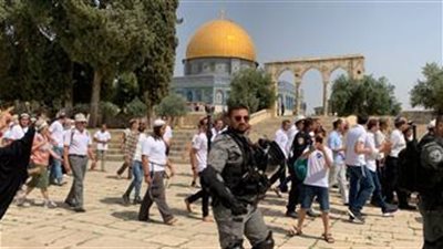  قوات الاحتلال الإسرائيلي تعتقل مفتي القدس والديار الفلسطينية