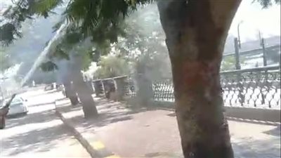 السيطرة على حريق شجرة أمام مبنى محافظة القليوبية 