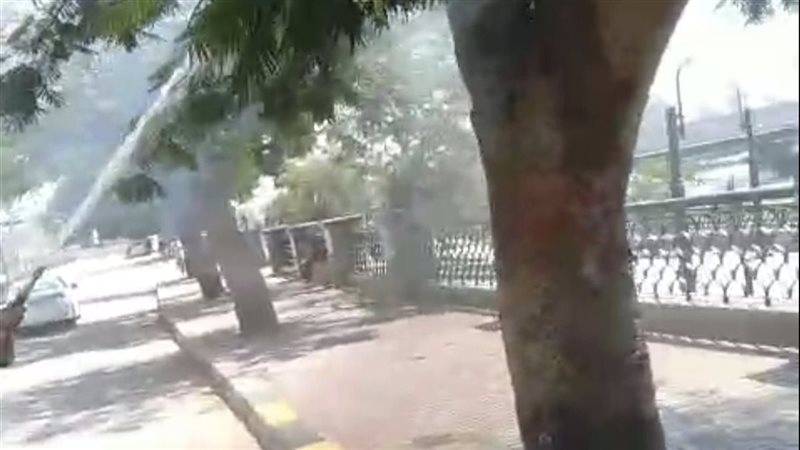  حريق بشجرة امام