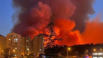 حرائق الغابات تهدد مناطق سكنية في محافظة بورصة التركية (فيديو)