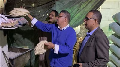 ضبط 4 أطنان دواجن ولحوم فاسدة وتحرير 160 مخالفة تموينية بالدقهلية (صور)