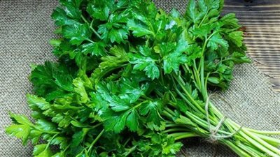 تفسير رؤية البقدونس في المنام وعلاقتها بسماع أخبار سعيدة قريبًا 