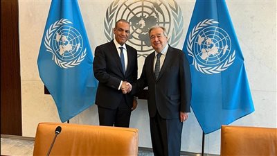 وزير الخارجية: مصر ترفض الإجراءات الأحادية المخالفة للقانون الدولي في حوض النيل