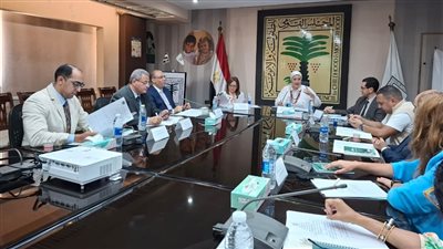 الطفولة والأمومة: تنفيذ مبادرة 