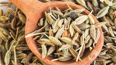 اليانسون يساعد على الاسترخاء وينظم الهضم 