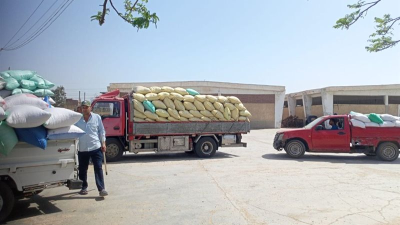 محافظة الشرقية تنتهي