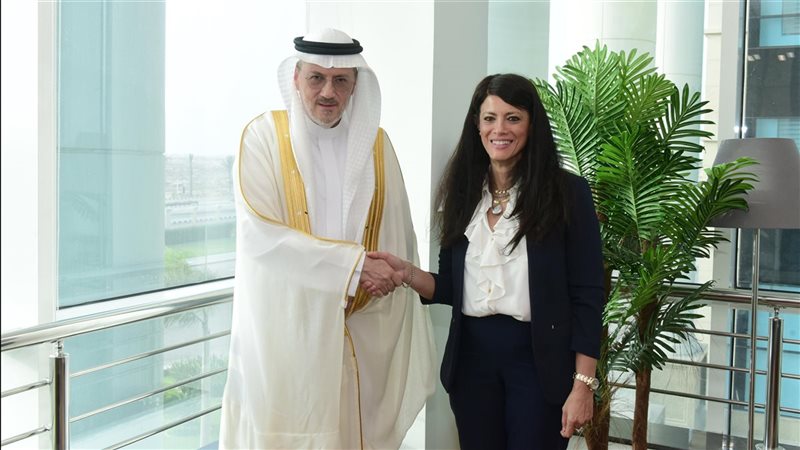 الدكتورة رانيا المشاط