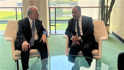 وزير الخارجية: مصر لن تقبل بتصفية القضية الفلسطينية