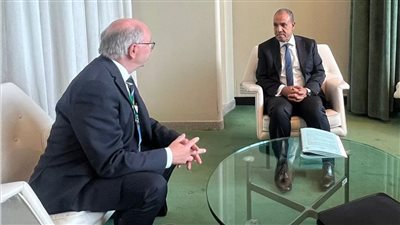 وزير الخارجية: لا بديل عن إقامة الدولة الفلسطينية وعاصمتها القدس الشرقية