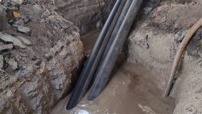 الكهرباء تكشف مستجدات توصيل خطوط التيار بمحطة جزيرة الذهب (فيديو)